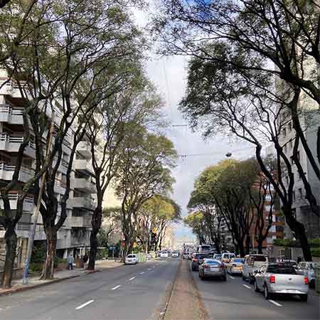 Avenida Brasil