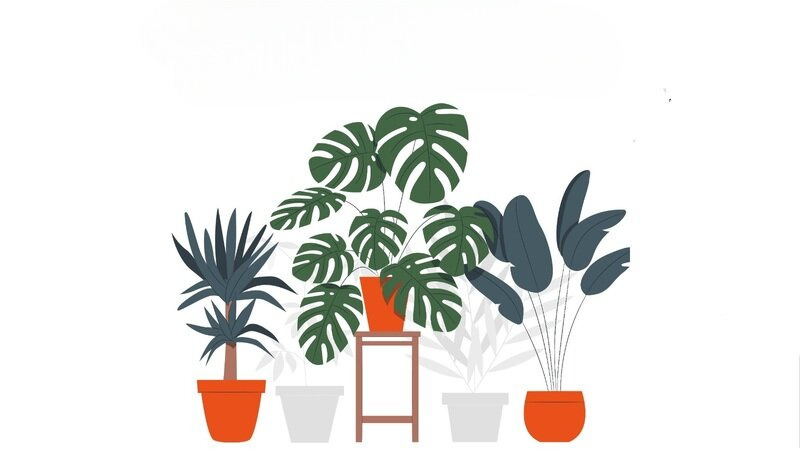 ORT invita a participar del concurso Mini Patio en el Shopping 2025