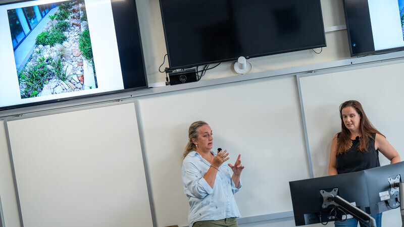 *Prof. Cecilia Sgarbi y Arq. Psj. Paula Rial*